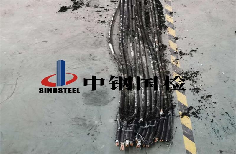 新國(guó)際機(jī)場(chǎng)主線站配電房完損性鑒定